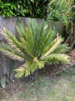 IMG_0213.jpeg
