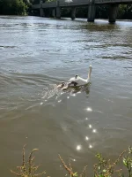 IMG_0220.jpeg