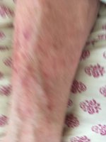 IMG_2733.jpeg