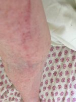 IMG_2737.jpeg