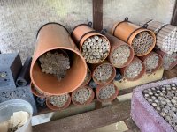 IMG_0963.jpeg
