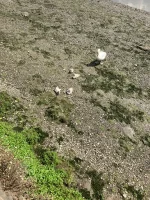 IMG_0233.jpeg