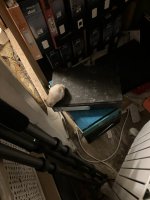 IMG_0631.jpeg