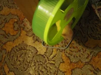P6120147.webp