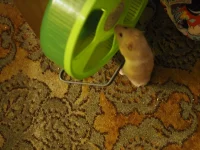 P6120149.webp