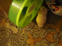 P6120150.webp