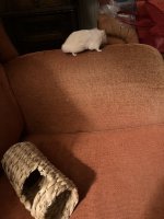 IMG_0642.jpeg