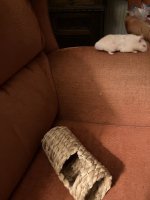 IMG_0641.jpeg