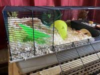 IMG_0656.jpeg