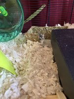 IMG_0652.jpeg
