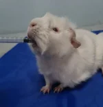 20230618_140722.webp 20230618_140722.webp