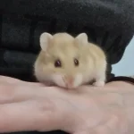 20230618_140609.webp 20230618_140609.webp