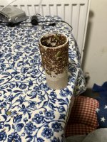 IMG_0675.jpeg