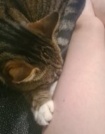 20230621_111640.jpg