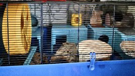 IMG_0978.jpeg