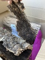 IMG_0691.jpeg
