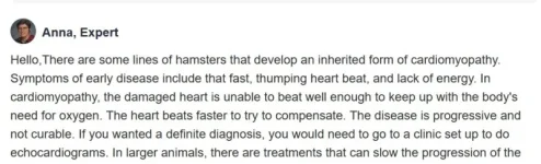 Vet article.webp