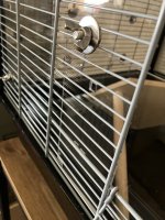 IMG_0722.jpeg