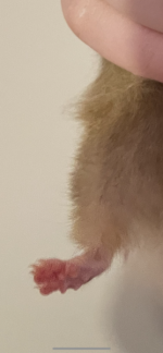 7D9D84C5-D3D3-48FB-A96D-B69E8CCD9EC9.png