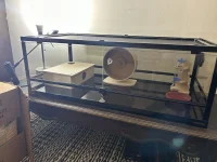IMG_7685.jpeg
