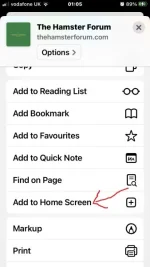 IMG_0777 with arrow.jpg IMG_0777 with arrow.jpg