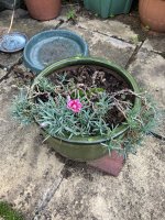 IMG_0291.jpeg