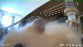 D03F275F68E5_1689209808204.webp