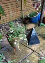 20230714_155812.webp 20230714_155812.webp