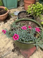 IMG_0300.jpeg