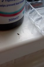 20230719_202648.jpg