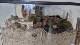 Afbeelding van WhatsApp op 2023-07-14 om 12.48.21.webp