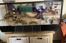 Plaza 100 cropped.webp