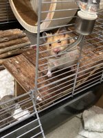 IMG_6723.jpeg
