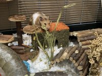 IMG_6760.jpeg