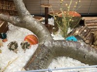 IMG_6778.jpeg