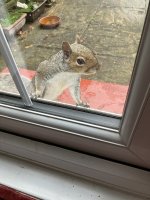 IMG_0321.jpeg