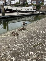 IMG_0322.jpeg