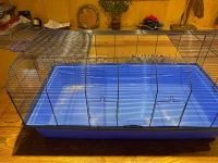 cage 3.jpg