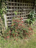 IMG_0327.jpeg
