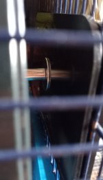 20230811_175656.jpg