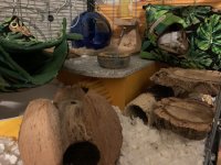 IMG_1013.jpeg