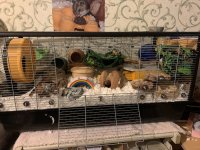 IMG_1014.jpeg IMG_1014.jpeg