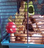 20230820_161007.webp