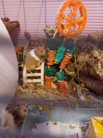 20230820_105755.webp 20230820_105755.webp