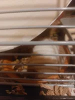 20230821_213822.webp 20230821_213822.webp