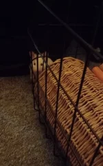20230821_221317.webp