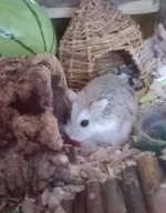 20230822_165703.webp 20230822_165703.webp