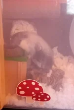20230829_191411.webp