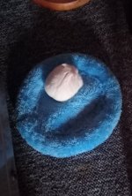 20230830_083631.jpg
