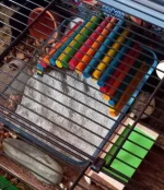 20230901_143640.webp